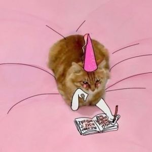 Meet your Posher, Allyson